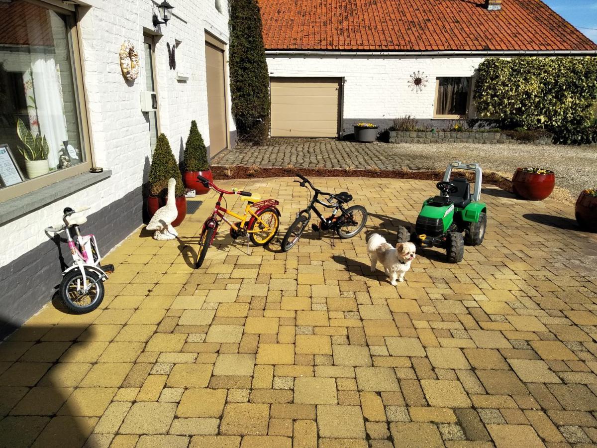 B&B Het Polderhof Jabbeke (West-Flanders) Exterior foto